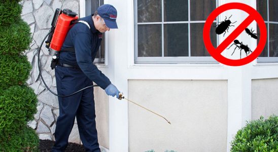 Dikmen Böcek İlaçlama böcek ilaçlama ve haşere kontrolü — ilaclama-tr.com